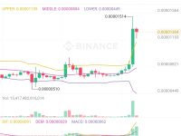 【朗報】仮想通貨・柴犬コイン、前日比53％増の爆上げ🐶