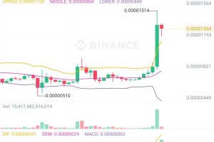 【朗報】仮想通貨・柴犬コイン、前日比53％増の爆上げ🐶