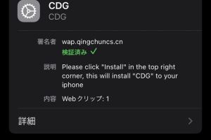 【BTC】仮想通貨詐欺被害と手法　中華系美人局